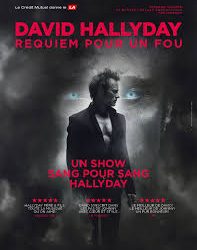 Concert de David Hallyday